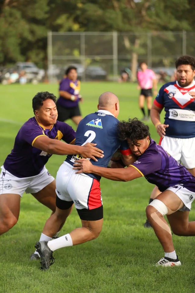 Roosters match photo