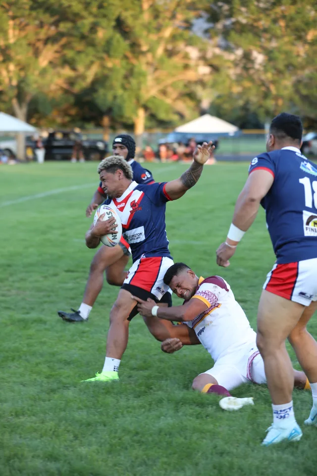 Roosters photo 9